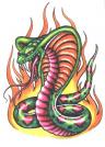 Toutes nos ralisations sur les tattoos serpents lzards
