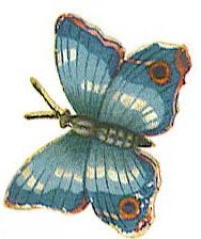Modles - Papillons - Photo1