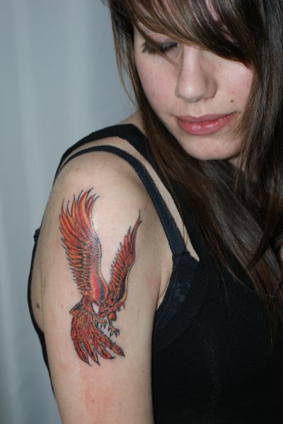 Nos ralisations - oiseaux divers - Phoenix Boutique Tattoo Evolution Perpignan