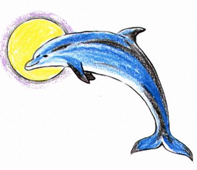 Modles - Les Dauphins - dauphin 2