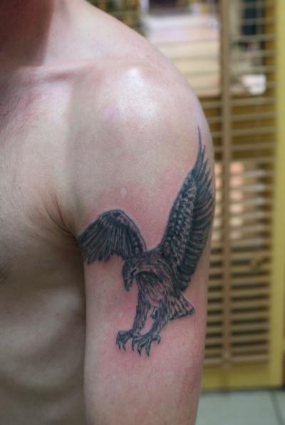 Nos ralisations - rapaces - tattoo aigle Boutique Tattoo Evolution Perpignan.