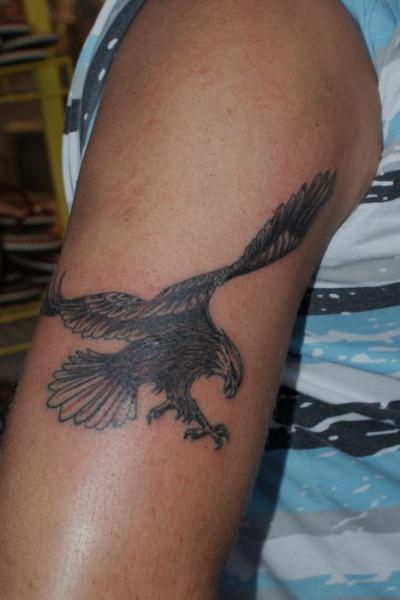 Nos ralisations - rapaces - aigle bras Boutique Tattoo Evolution Perpignan.