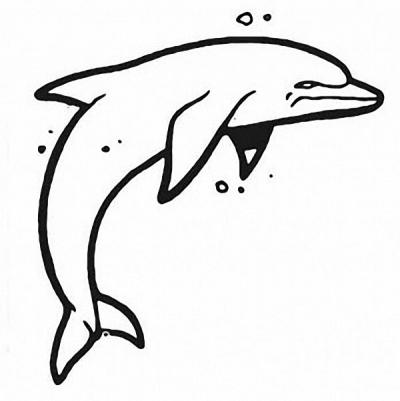 Modles - Les Dauphins - dauphin 5