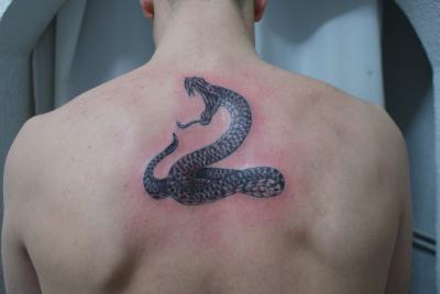 Nos ralisations - animaux divers - Tatouage serpent . Boutique Tattoo Evolution Perpignan