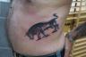 Toutes nos ralisations sur les tattoos animaux divers