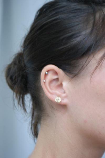 Piercing - piercings oreilles - piercings oreilles Boutique Tattoo Evolution Perpignan