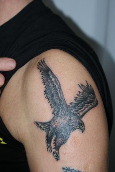 Nos ralisations - rapaces - aigle recouvrement Boutique Tattoo Evolution Perpignan.