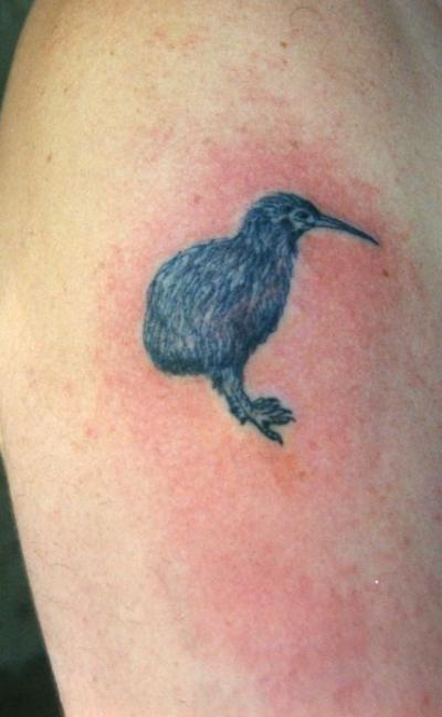 Nos ralisations - oiseaux divers - tattoo kiwi