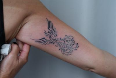Nos ralisations - oiseaux divers - Phoenix . boutique Tattoo Evolution Perpignan