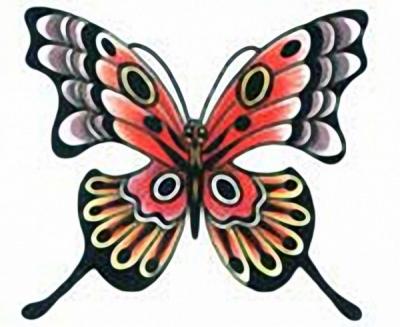 Modles - Papillons - papillon 5