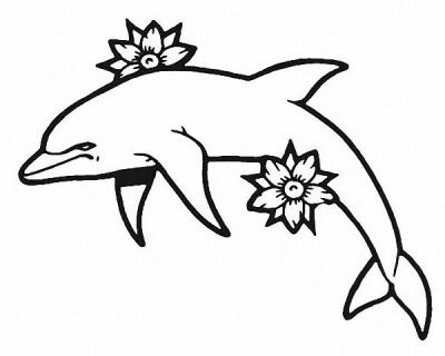 Modles - Les Dauphins - dauphin 11
